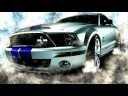 mustangs