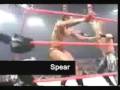 Los mejores finishers WWE
