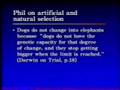 Darwinism: Science or Naturalistic Philosophy (4 of 11)
