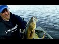 Click here to watch this video Benefits of Using Sonar for Fishing
