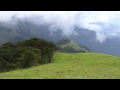 Relaxing  Music - Nature Scenes 1