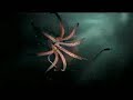 Riskay Vs Benga &amp; Coki - Smell Yo Night