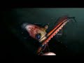 uk-garagedubstep-benga-coki-night-.html