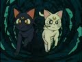 Sailor Moon Clasica Ep.44 1/2 Español Latino Sailor Moon Clasica Ep.44 1/2 Español Latino