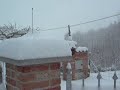 neve neve
