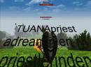 endgreeneye tuanapriest endgreeneye tuanapriest