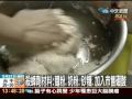 「一夜殺七隻」 蟑螂藥DIY千顆成本僅60元