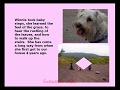 In Memory of Winnie [2000-2008)