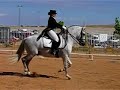 Doma Clásica: Salamanca