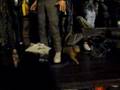NECA ALIEN joins FML Aliens Collection