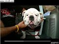 Espn Road Trip Athens GA gameday Espn Road Trip Athens GA gameday