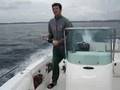 Mingolla Marlin 20 Honda BF115