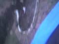 Jess falls in pond :L Jess falls in pond :L