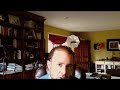 See Video
