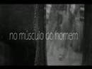 Mosaicos do Cotidiano