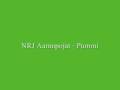 NRJ Aamupojat - Pummi