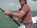 Goliath Grouper Fishing Goliath Grouper Fishing