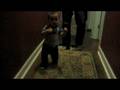 videos de walking