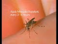 Malaria - be careful when traveling! Malaria - be careful when traveling!