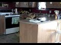 Dogs stealing problem solution multivet spray commander Dogs stealing problem solution multivet spray commander