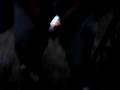 videos de mata y sus locuras