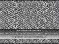 BORDADOS * PEDRO MORALES BORDADOS PORNO DIGITAL STEREOGRAM BORDADOS * PEDRO MORALES BORDADOS PORNO DIGITAL STEREOGRAM