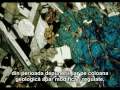 5 - Varsta Lumii Pe Intelesul Tuturor