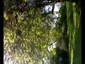 Busride through Holland (MAASTRICHT)