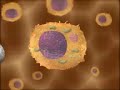 Detoxamin, a New Method of Chelation Therapy