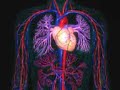 Detoxamin, a New Method of Chelation Therapy