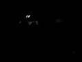 Kein Bild daf�r lustiger Dialog