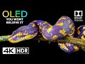 YOU WON'T BELIEVE IT BUT IT'S REAL 4K ..