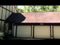 Roof Cleaner