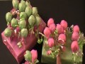 Handmade Baby Shower Items