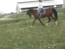 Shariif sale vid Shariif sale vid