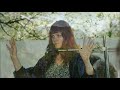 how enlightenment happened  part two    satsang with dolano