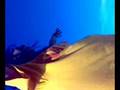 videos de paparazzi madonna en la playa