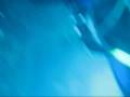videos de la Llosa de Benidorm 2.wmv