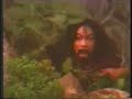 Cai Luong Tieu Anh Phung Cai Luong Tieu Anh Phung