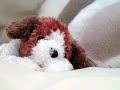 Kleerup feat. Titiyo \"Longing for lullabies\"