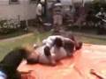 HWS-Final Frontier-backyard wrestling