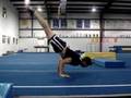 90 degree pushups (planche push ups / hollowback press)