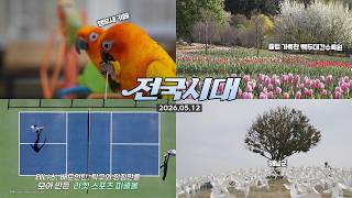 전국시대