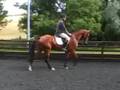 summerset VDL