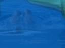 Copa del Mundo Nataci�n con Aletas Bogot� 2009