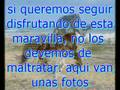 un caballo maltratado, es igual que uno feliz?
