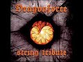Fury Of The Storm - Vitamin String Quartet Tribute To DragonForce