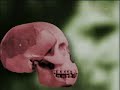 Evrimin Sahte Delilleri serimizin birincisinde, bazı evrimcilerin 100 yılı aşkın bir süredir insanları yanıltmak için ortaya attıkları sahte ve düzmece delillerden, aldatmacalardan bir bölümünü izleyeceksiniz. ... evrim evrimci darwin darwinizm atheizm atheist Allah harun yahya adnan oktar piltdown haeckel nebraska archaopteryx din 
