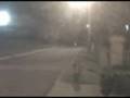 Night rider