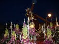 Semana santa G��mar 2008